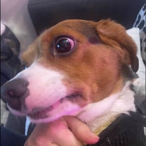 Meet your Posher, Milagros